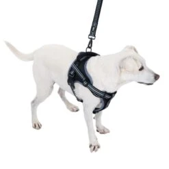 TIAKI Saddle Harness Small: Approx. 40 - 50cm (Neck Circumference) -Zoo Plus 493899 tiaki sattelgeschirr dog fg 8915 6 1