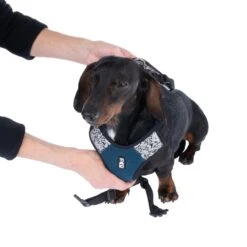 TIAKI Reflective Harness Size M: Approx. 50 - 63 Cm Chest Circumference -Zoo Plus 499038 tiaki geschirr reflective s fg 4097 7 1