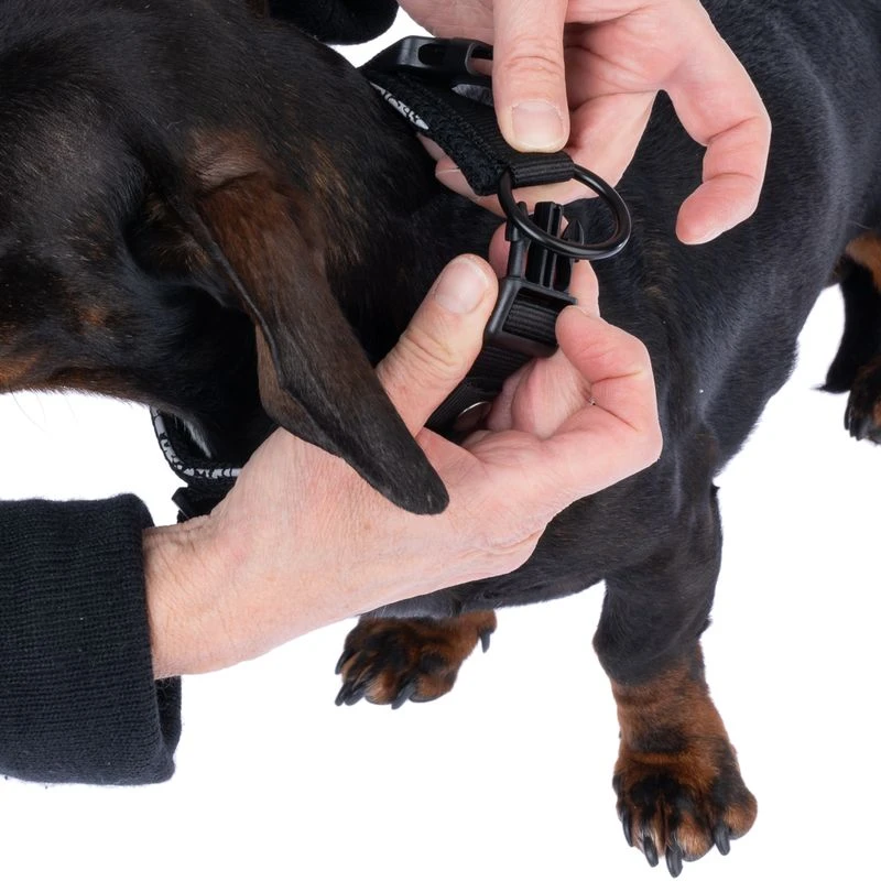 TIAKI Reflective Collar Size S: 25 - 35 Cm Neck Circumference, 20mm Width 9 TIAKI Reflective Collar Size S: 25 - 35 Cm Neck Circumference, 20mm Width - Image 9