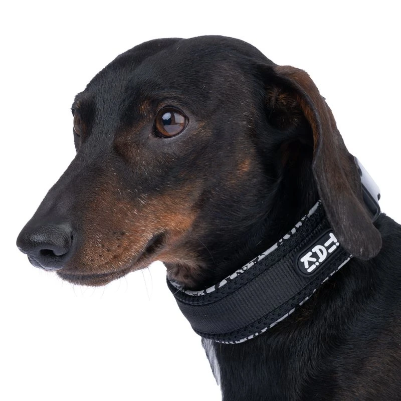 TIAKI Reflective Collar Size S: 25 - 35 Cm Neck Circumference, 20mm Width 10 TIAKI Reflective Collar Size S: 25 - 35 Cm Neck Circumference, 20mm Width - Image 10