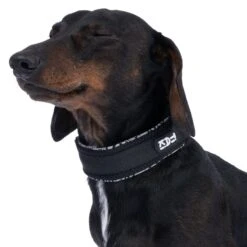 TIAKI Reflective Collar Size L: 45 - 55 Cm Neck Circumference, 20mm Width -Zoo Plus 499039 tiaki hundehalsband reflective m fg 4084 5 2