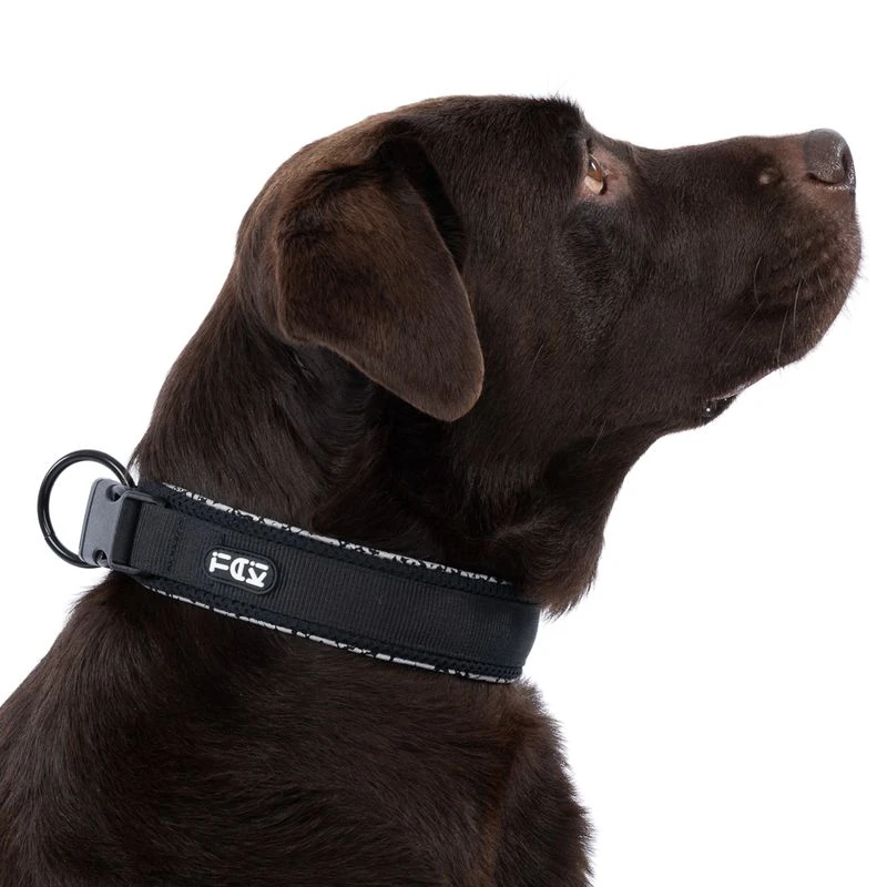 TIAKI Reflective Collar Size S: 25 - 35 Cm Neck Circumference, 20mm Width 13 TIAKI Reflective Collar Size S: 25 - 35 Cm Neck Circumference, 20mm Width - Image 13