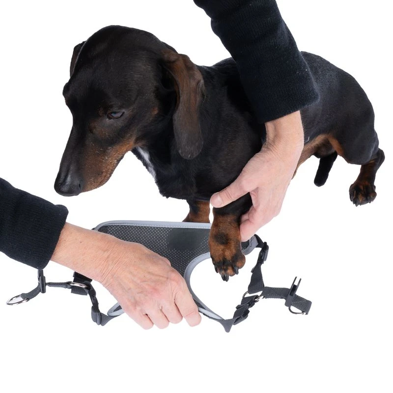 TIAKI Grey Harness Size M: Approx. 54 - 78 Cm Chest Circumference 10 TIAKI Grey Harness Size M: Approx. 54 - 78 Cm Chest Circumference - Image 10