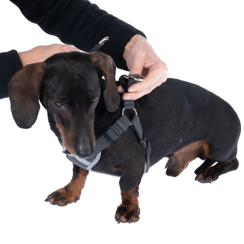 TIAKI Grey Harness Size M: Approx. 54 - 78 Cm Chest Circumference 11 TIAKI Grey Harness Size M: Approx. 54 - 78 Cm Chest Circumference - Image 11