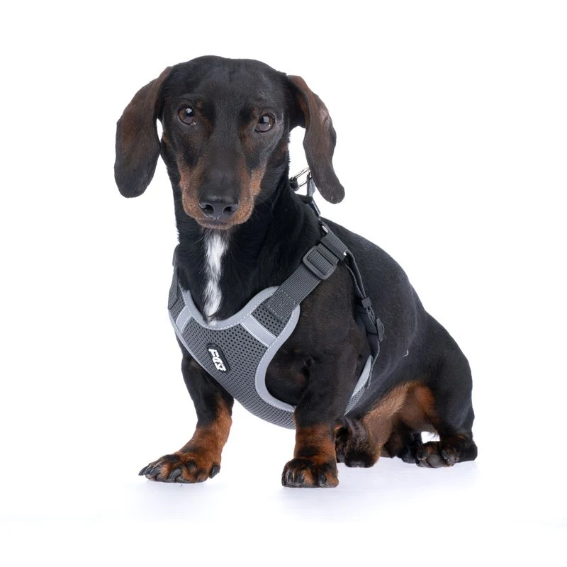 TIAKI Grey Harness Size M: Approx. 54 - 78 Cm Chest Circumference 3 TIAKI Grey Harness Size M: Approx. 54 - 78 Cm Chest Circumference - Image 3