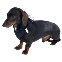 TIAKI Vest Harness Size XS: Approx. 33 - 37 Cm Chest Circumference -Zoo Plus 499054 tiaki geschirr vest s fg 4114 5