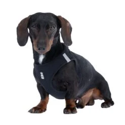 TIAKI Vest Harness Size XS: Approx. 33 - 37 Cm Chest Circumference -Zoo Plus 499054 tiaki geschirr vest s fg 4118 6