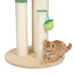TIAKI Palma Nature Scratching Post Green -Zoo Plus 499900 tiaki nature green bristle fg 4475 0