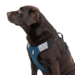 TIAKI Reflective Harness Size L: Approx. 61 - 76 Cm Chest Circumference -Zoo Plus 499998 499044 dog 4672 3 4