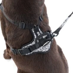 TIAKI Reflective Harness Size XS: Approx. 33 - 40 Cm Chest Circumference -Zoo Plus 499998 499044 dog 4678 5 3