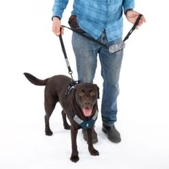 TIAKI Reflective Harness Size L: Approx. 61 - 76 Cm Chest Circumference -Zoo Plus 499998 499044 dog 4684 0 4