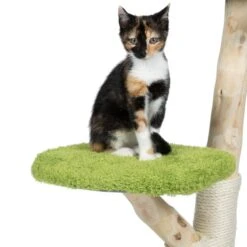 TIAKI Nature Willow Scratching Post Green -Zoo Plus 500904 tiaki nature willow green fg 4639 2