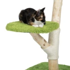TIAKI Nature Willow Scratching Post Green -Zoo Plus 500904 tiaki nature willow green fg 4646 0