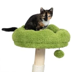 TIAKI Nature Maple Scratching Tree Green/Brown -Zoo Plus 500905 tiaki nature maple green fg 4602 0