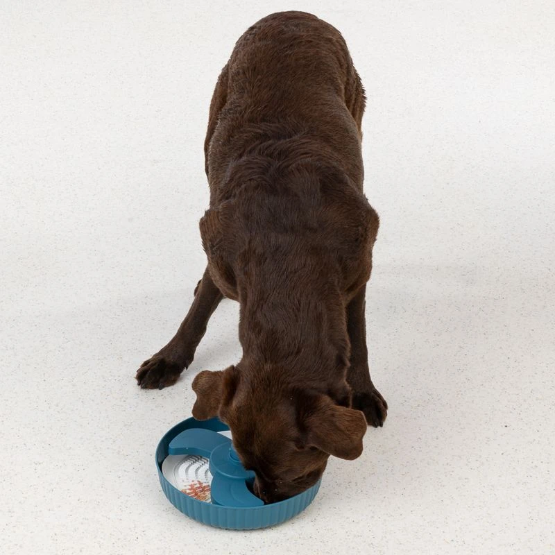 TIAKI Helice Slow Feeder 1000ml (25.5cm Diameter) 3 TIAKI Helice Slow Feeder 1000ml (25.5cm Diameter) - Image 3