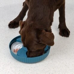 TIAKI Helice Slow Feeder 1000ml (25.5cm Diameter) 16 TIAKI Helice Slow Feeder 1000ml (25.5cm Diameter) -Zoo Plus 501033 dog fg 5955 0