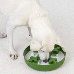 TIAKI Trebol Slow Feeder Bowl 1 Litre, Ø 25.5 Cm -Zoo Plus 501034 dog fg 5972 1