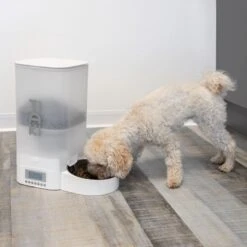 TIAKI Automatic Feeder 5 Litres -Zoo Plus 501238 501340 tiaki hs 024 1