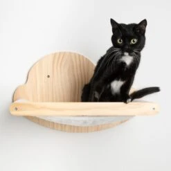 TIAKI Cloud Wall-Mounted Bed White -Zoo Plus 501279 tiaki wall bed cloud cat fg 1222 2