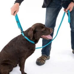 TIAKI Water-repellent PVC Leash, Blue Length: Approx. 200 Cm -Zoo Plus 501405 501506 dog fg 0377 3