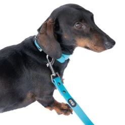 TIAKI Water-repellent PVC Leash, Blue Length: Approx. 200 Cm -Zoo Plus 501506 pvc leash aqua fg 9545 4