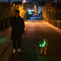 TIAKI Spark USB LED Silicone Collar Green 14 TIAKI Spark USB LED Silicone Collar Green -Zoo Plus 501718 dog at night fg 1968 4