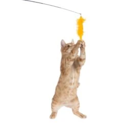TIAKI Pompom Cat Dangler Toy With LED Pointer 1 Toy -Zoo Plus 501729 tiaki led cat teaser pompom cat fg 1126 2