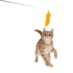 TIAKI Pompom Cat Dangler Toy With LED Pointer 1 Toy -Zoo Plus 501729 tiaki led cat teaser pompom cat fg 1128 0