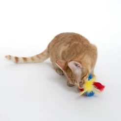 TIAKI Paquita Electronic Cat Toy 1 Toy -Zoo Plus 501851 cat fg 1426 5