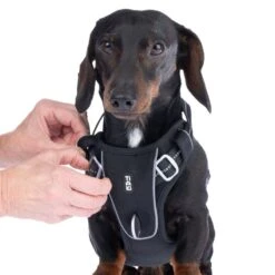 TIAKI Perfect Fit Harness Size S: 48 - 61 Cm Chest Circumference -Zoo Plus 501865 geschirr perfect fit s fg 4154 7