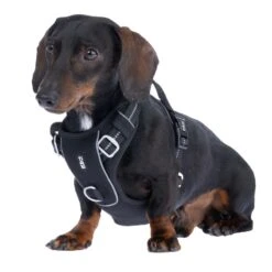 TIAKI Perfect Fit Harness Size S: 48 - 61 Cm Chest Circumference -Zoo Plus 501865 geschirr perfect fit s fg 4157 7