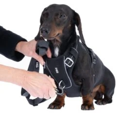 TIAKI Perfect Fit Harness Size S: 48 - 61 Cm Chest Circumference -Zoo Plus 501865 geschirr perfect fit s fg 4159 4