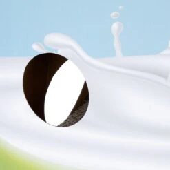 TIAKI Milk Carton Cat Cave & Scratching Furniture 33 X 31 X 55 Cm (L X W X H) -Zoo Plus 501932 tiaki milkbox scratcher cave fg 9830 2