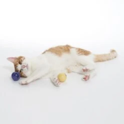 TIAKI LED Balls For Cats Set Of 2 -Zoo Plus 501941 cat fg 1698 4