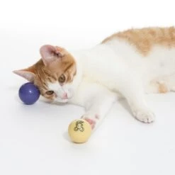 TIAKI LED Balls For Cats Set Of 2 -Zoo Plus 501941 cat fg 1701 5
