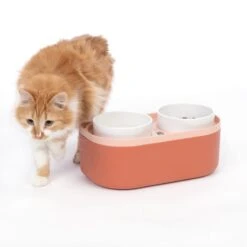 TIAKI Double Bowl With Food Container 2 X 420ml -Zoo Plus 504896 cat fg 3767 9