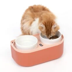 TIAKI Double Bowl With Food Container 2 X 420ml -Zoo Plus 504896 cat fg 3770 2