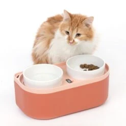 TIAKI Double Bowl With Food Container 2 X 420ml