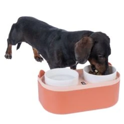 TIAKI Double Bowl With Food Container 2 X 420ml -Zoo Plus 504896 duo bowl with storage dog fg 3583 9