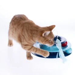 TIAKI Cat Toy Jellyfish 1 Toy -Zoo Plus 504996 tiaki jellyfish interactive toy fg 2598 0