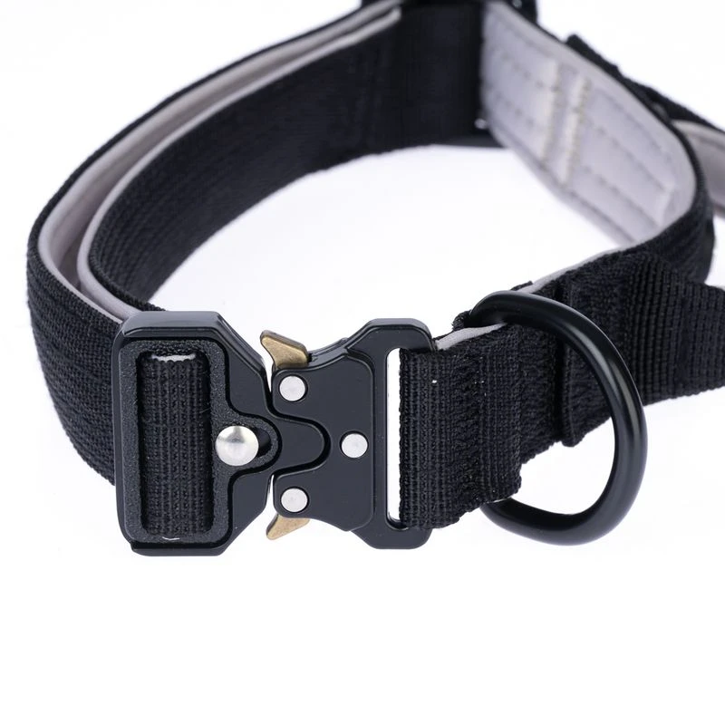 TIAKI Safety Collar Size S: 35 - 50 Cm Neck Circumference, 25mm Width 5 TIAKI Safety Collar Size S: 35 - 50 Cm Neck Circumference, 25mm Width - Image 5