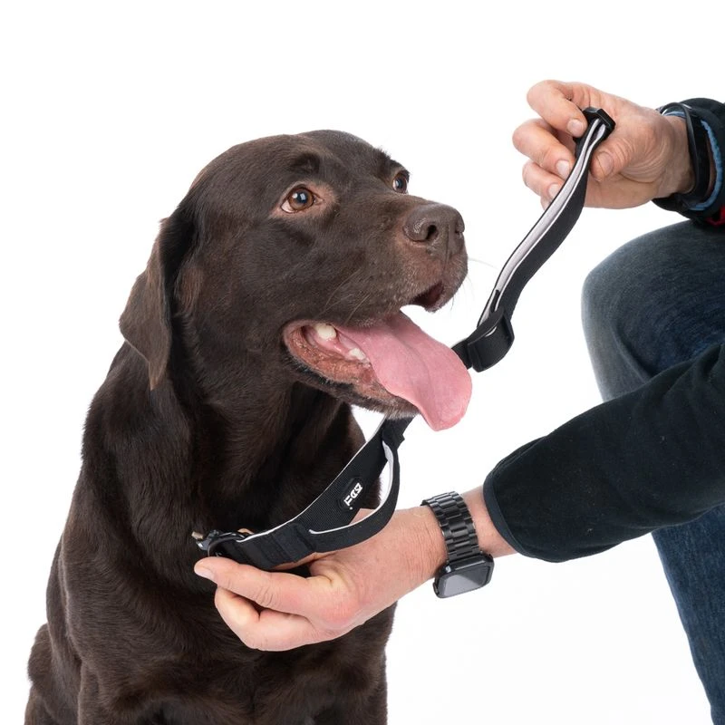 TIAKI Safety Collar Size S: 35 - 50 Cm Neck Circumference, 25mm Width 4 TIAKI Safety Collar Size S: 35 - 50 Cm Neck Circumference, 25mm Width - Image 4