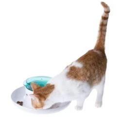 TIAKI Daisy Interactive Food Dispenser 1 Dispenser -Zoo Plus 524518 tiaki daisy meal dispenser cat fg 7678 1