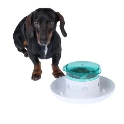 TIAKI Daisy Interactive Food Dispenser 1 Dispenser -Zoo Plus 524518 tiaki daisy meal dispenser fg 6840 0