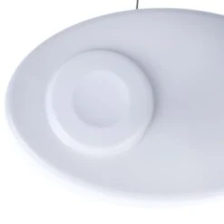 TIAKI Bee Spinner Toy With Catnip 1 Toy -Zoo Plus 524898 tiaki bee spinner toy with catnip fg 7106 3