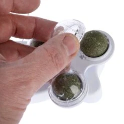 TIAKI Bee Spinner Toy With Catnip 1 Toy -Zoo Plus 524898 tiaki bee spinner toy with catnip fg 7108 1