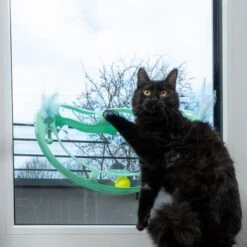 TIAKI Wave Circuit Cat Toy 1 Toy -Zoo Plus 527232 cat fg 4649 6