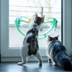 TIAKI Wave Circuit Cat Toy 1 Toy -Zoo Plus 527232 cat fg 4685 8