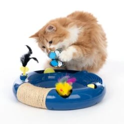 TIAKI Interactive Circuit Cat Toy 1 Toy -Zoo Plus 527233 cat fg 3773 6