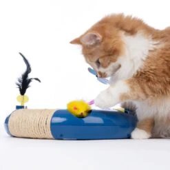 TIAKI Interactive Circuit Cat Toy 1 Toy -Zoo Plus 527233 cat fg 3781 7